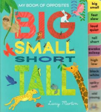Big Small Short Tall book