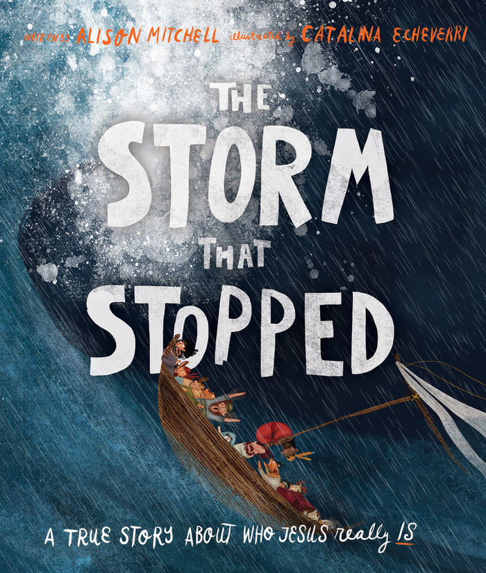 The Storm that Stopped book